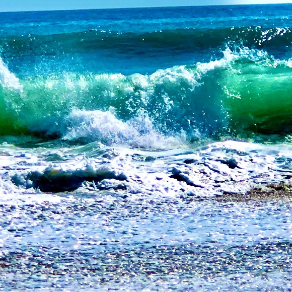 Meet your Posher, Evey - Picture 6 of 8